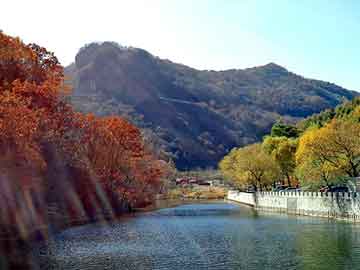 新澳天天开奖资料大全旅游团，毛新宇 智商